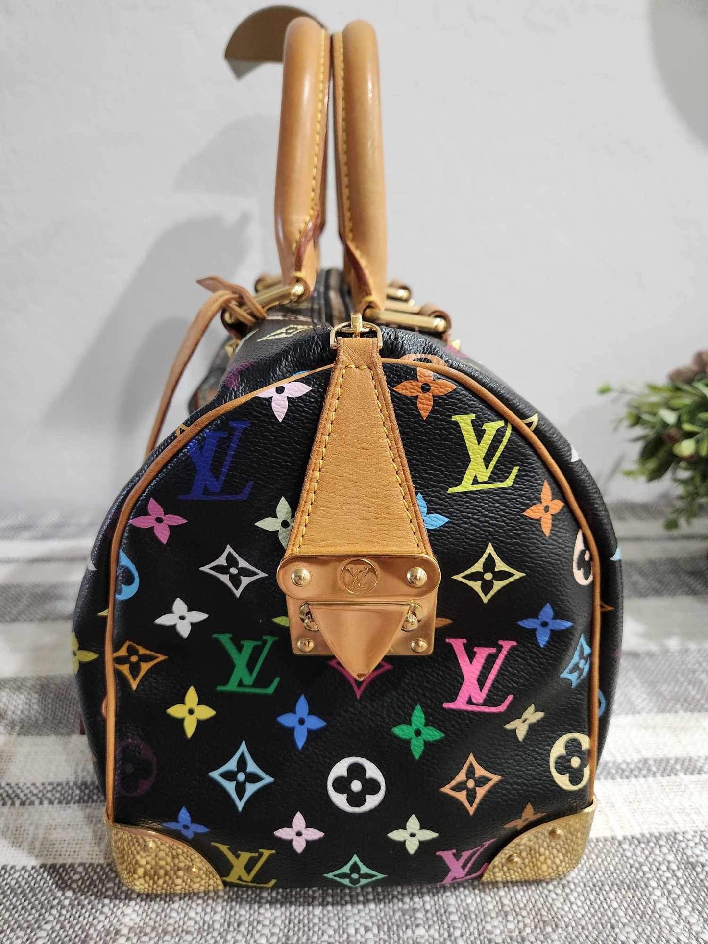 Louis Vuitton Takashi Murakami Speedy 30 Bag