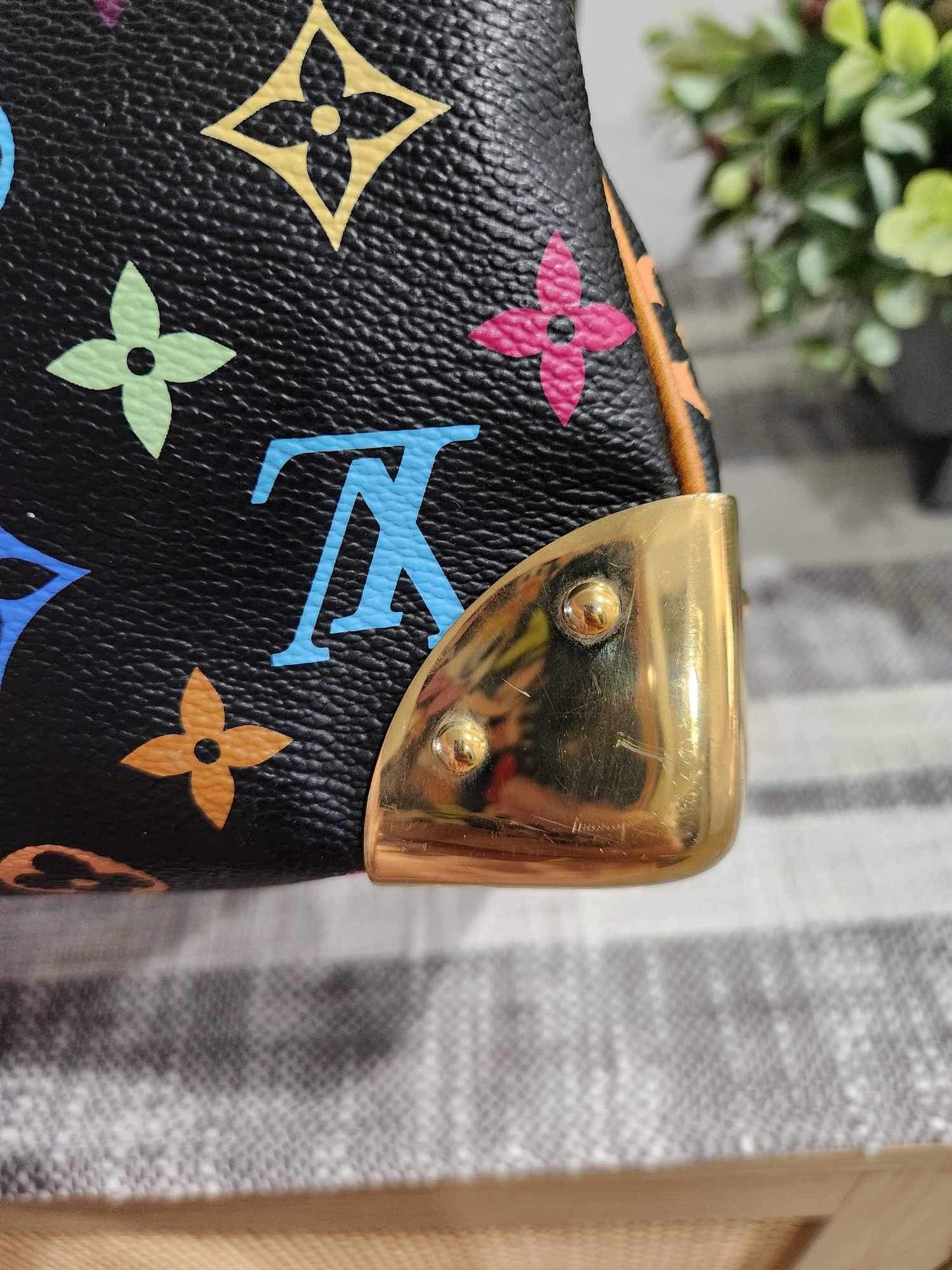 Louis Vuitton Takashi Murakami Speedy 30 Bag