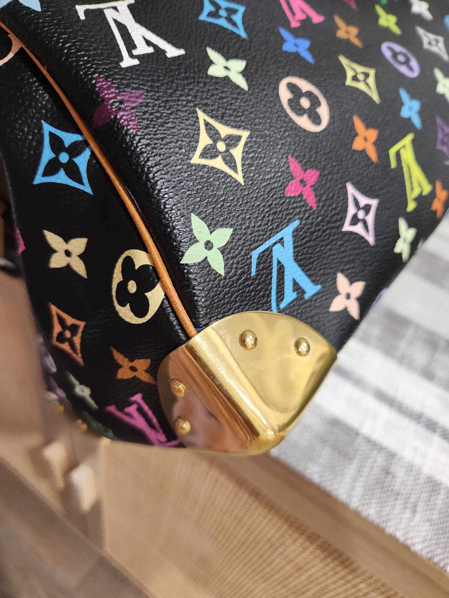 Louis Vuitton Takashi Murakami Speedy 30 Bag